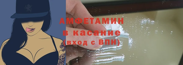 молекула духа Новозыбков