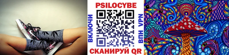 Галлюциногенные грибы Psilocybe Мытищи