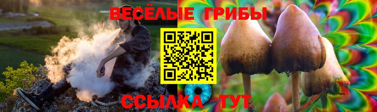 Галлюциногенные грибы прущие грибы Мытищи